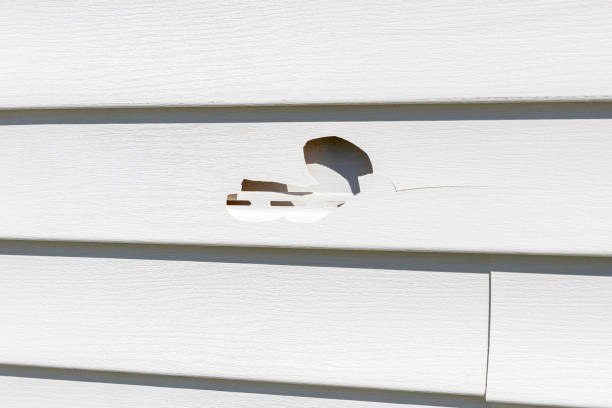 Best Siding Repair  in Montgomery, TX